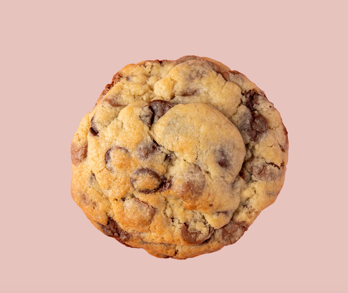 Chocolate Chip Cookie-Chip Level 100